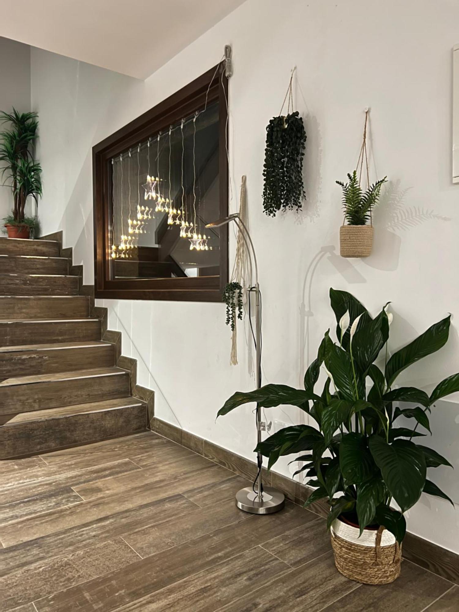 Cesantes Village E Holiday home *